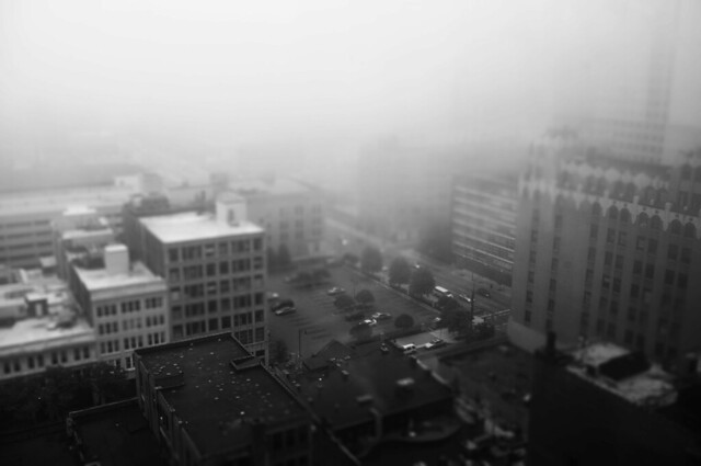 Another foggy b+w day in the neighborhood