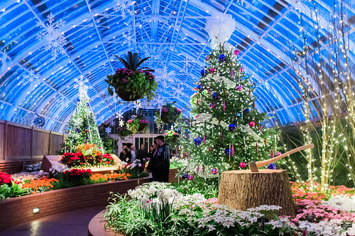Phipps Conservatory Winter Flower Show.