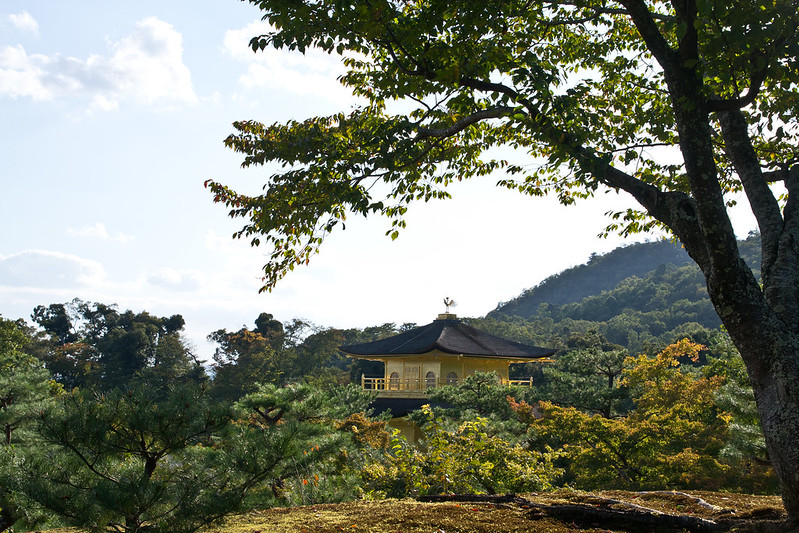 Top of Kinkaku-ji, Kyoto's Golden Pavilion