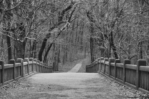 landscape bridge pov pointofview blackandwhite bw contrast trees path road way leading woods forest outdoors nature black white