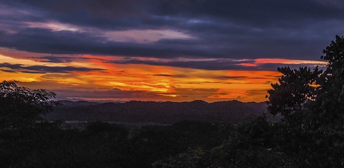 sunset canopytower panama