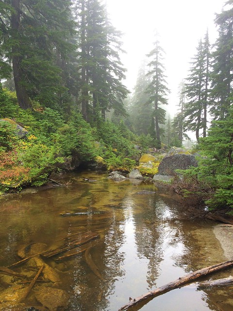 misty creek