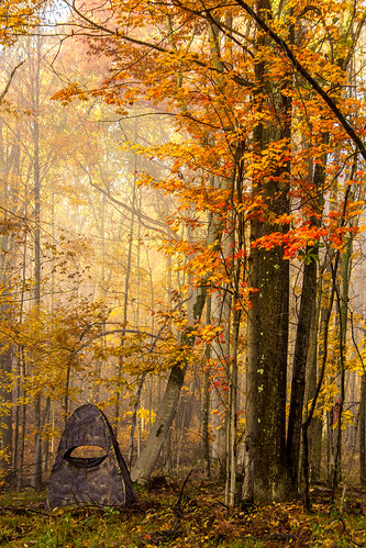 morning camping autumn color tree fall fog early woods october blind michigan hunting sigma upnorth sunlit luther 2015 canon60d kevinpovenz
