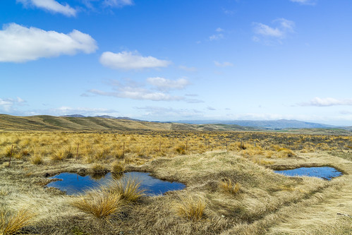 newzealand mountains fence puddle farm farmland nz southisland centralotago highcountry drycountry hawkdunrunsvalley