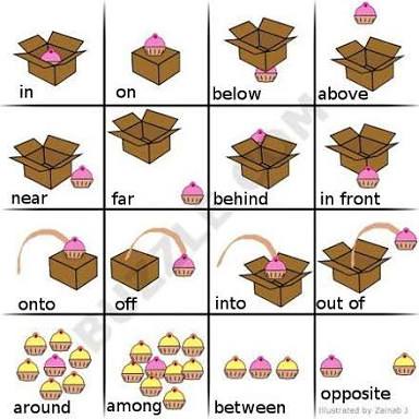 Prepositions of Space - Cupcake and Box