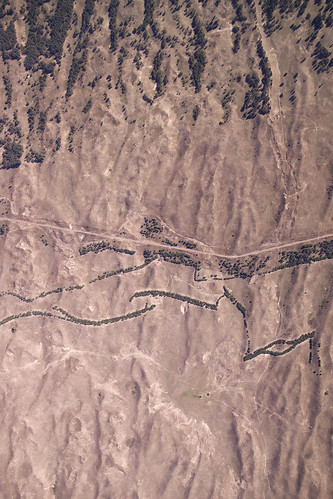 nebraskanationalforest bessey