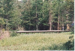 Crosby Arboretum (23)