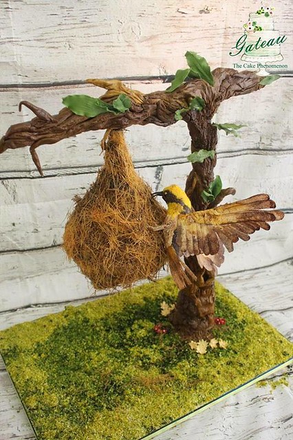 Gravity Defying Weaver Bird Hanging Nest by Faiza Sherjeel‎ of Gateau: The Cake Phenomenon