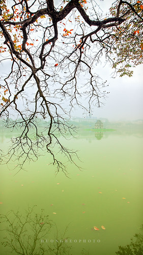 thángba tháprùa hồhoànkiếm hồgươm cây turtletower hanoiscenery scenery asia fog winter hanoicity hanoicapital hoankiemlake lake tree outdoor
