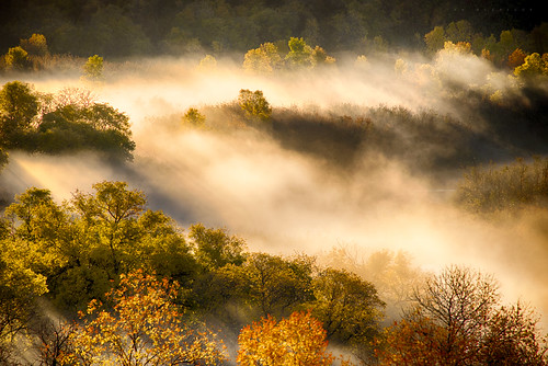 autumn trees mist canada fall nature landscape photography nikon valley saskatchewan ianmcgregor ianmcgregorphotographycom