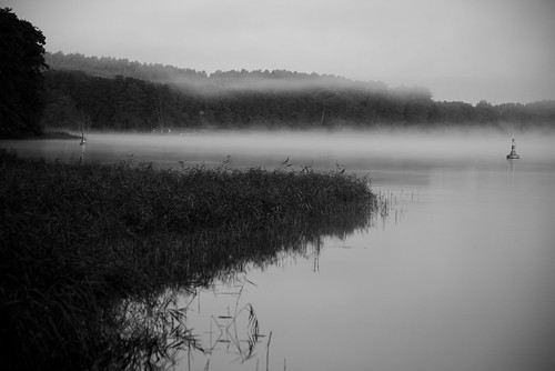 blackandwhite bw mist lake nature water monochrome fog landscape dawn see blackwhite wasser nebel outdoor natur landschaft buoy boje schwarzweis drausen petersdorfersee