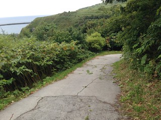 rebun-island-itsukushima-shrine-sloping-road