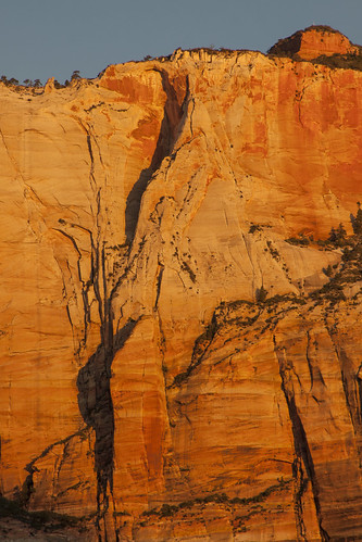morning shadow red orange sunlight yellow sunrise utah nationalpark sandstone formation zion cracks laquinta springdale