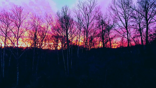 winter wallpaper sunrise outdoors woods december missouri backgrounds pinks mobilephotography uneditedoriginal galaxys6