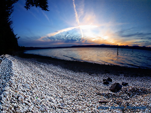 washingtonstate pacificnorthwest hoodcanal sunset shells seashore