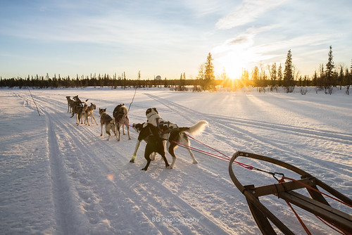 2017 500px activity arcticcircle artnouveau bgphoto church dawn dogsledding esrangespacecenter fineday forest gothicrevival husky image imaging iron ironore kiruna kirunachurch lkab lake landscape mine morning outdoor photo photography sled snow sun sunny sunrise tumblr winter woods bellphoto 冰旅館 北極圈 基律納 基魯那 太陽 建築 攝影 教堂 新哥德式 日出 森林 活動 瑞典 破曉 礦業 鐵礦 雪地 雪橇 雪橇狗 風光 風景 黎明