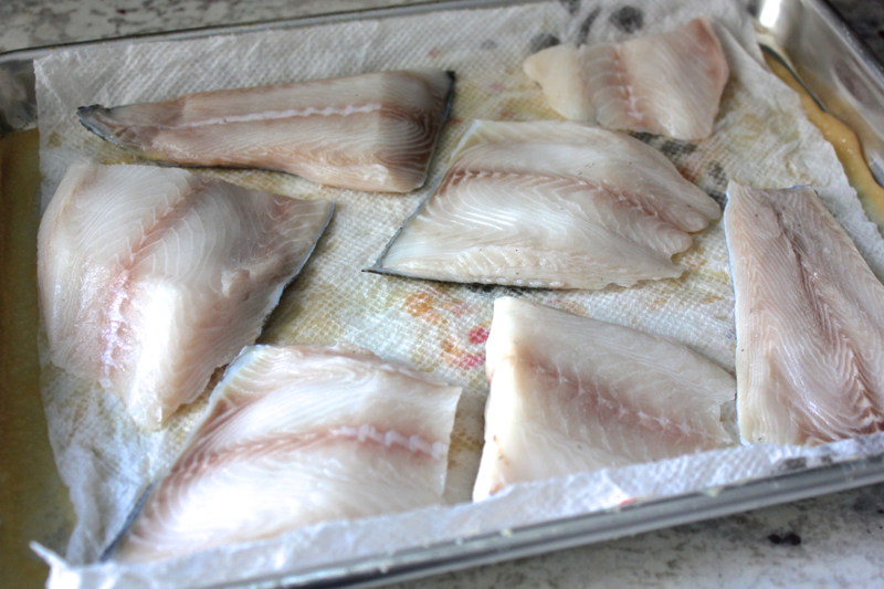 Miso Marinated Black Cod: A Taste of Japan