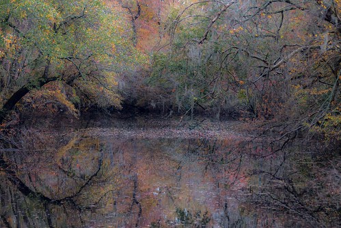 fall leaves creek stream pastel