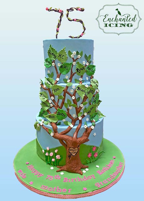 Cake by Enchanted Icing - Custom Celebration Cakes