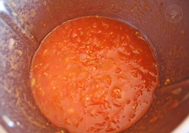 Ketchup casero thermomix www.cocinandoentreolivos.com (9)