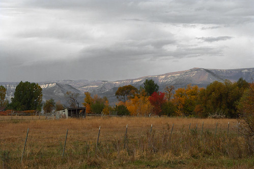 autumn field leaves rural fence landscape utah shed scenic