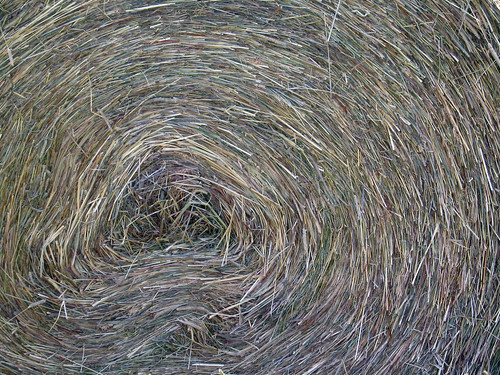 ontario canada eye texture field circle geotagged pattern farm wheat straw 2006 hay agriculture bale brucepeninsula geolat45048300 geolon81320801