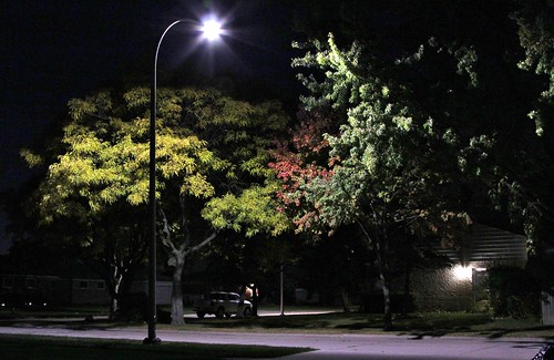 autumn shadow streetlight fallcolor streetlamp nightlight suburb nightscene jannagal jannagalski suburbansubdivision