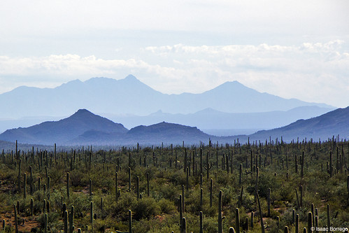 arizona cactus mountains clouds desert peaks nationalmonument saguaros santaritamountains ironwoodforest skyislands canonrebelt4i