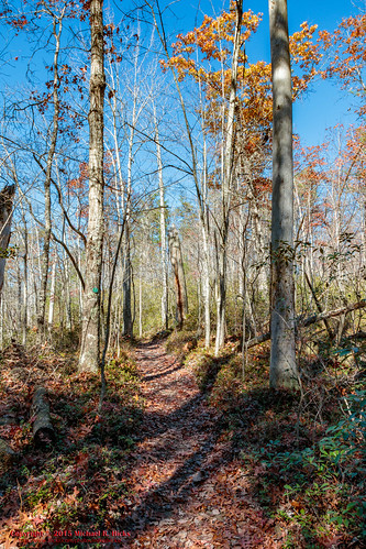 usa fall nature geotagged outdoors photography unitedstates hiking tennessee hdr jamestown geo:country=unitedstates camera:make=canon exif:make=canon geo:city=jamestown geo:state=tennessee exif:focallength=18mm sharpplace tamronaf1750mmf28spxrdiiivc exif:lens=1750mm exif:aperture=ƒ11 tennessestateparks exif:isospeed=320 canoneos7dmkii camera:model=canoneos7dmarkii exif:model=canoneos7dmarkii poguecreekcanyonstatenaturalarea geo:location=sharpplace geo:lat=3652658833 geo:lon=8482195500 geo:lat=36526666666667 geo:lon=84821945