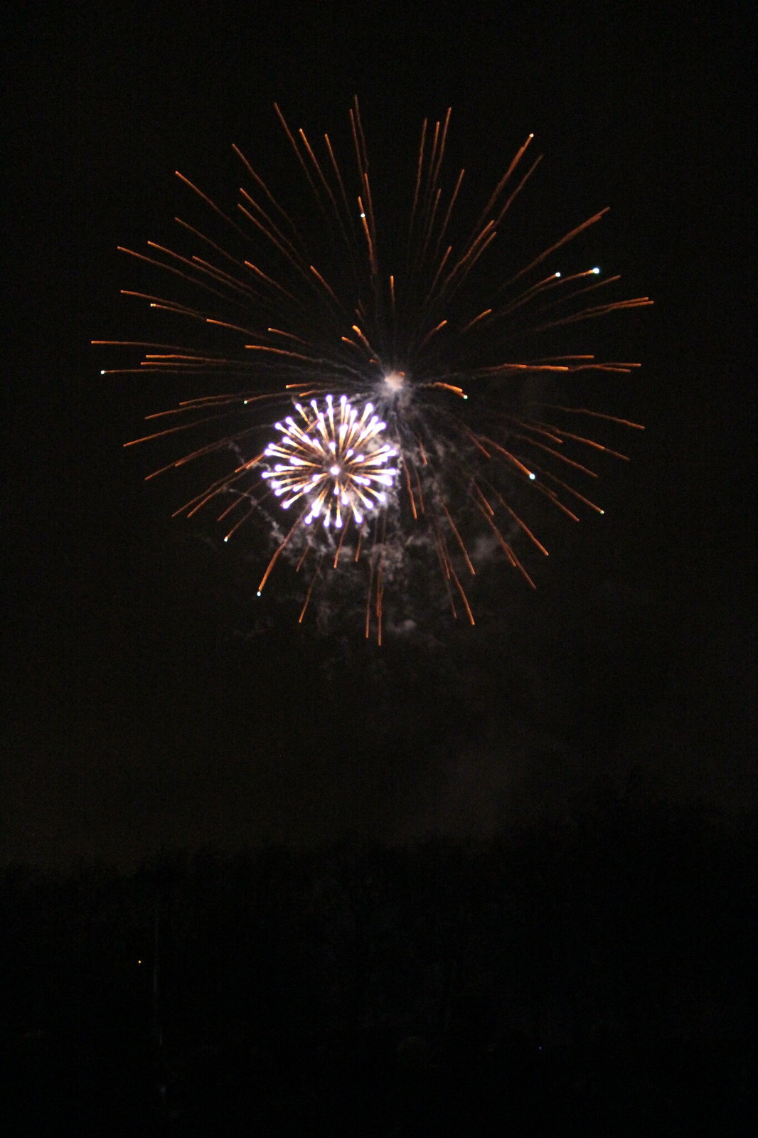 Guy Fawkes' Day 2015
