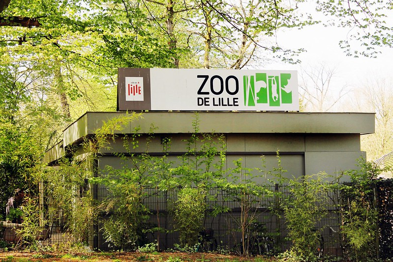 Drawing Dreaming - Guia de Visita de Lille - Zoo de Lille