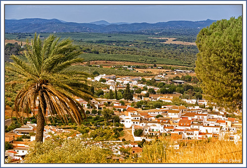 españa house tree town spain nikon village andalucia espana palmtree andalusia maison espagne arbre palmier andalousie d810 almodovardelrio nikond810 anda0915
