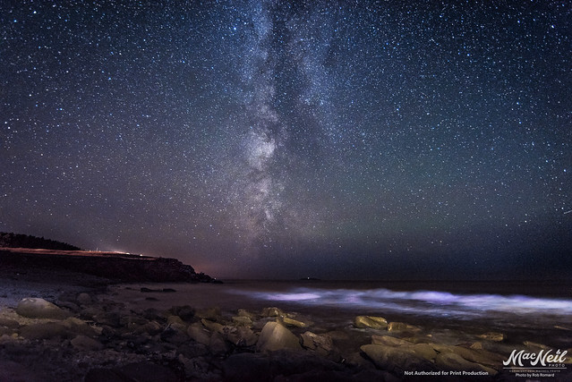 the Milky Way over Whale Cove tonight