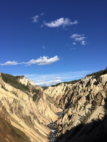 yellowstone grand canyon