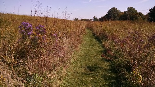 path prairie
