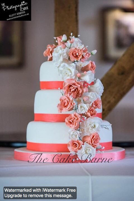 Cake by Stephanie Benson of The Cake Barne