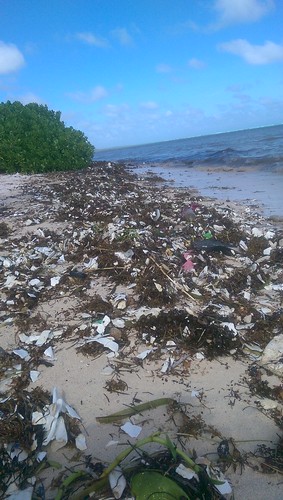 Rubbish on Beach Mexico