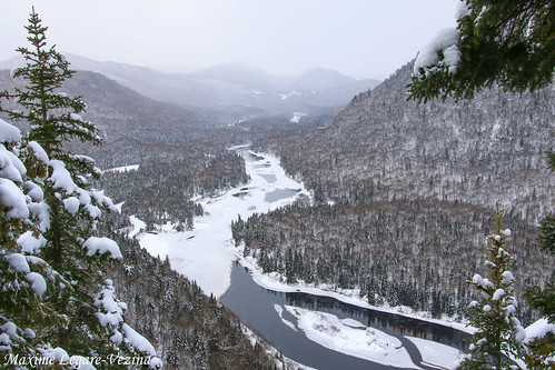 trees winter mountain snow nature water forest canon river landscape hiver riviere arbres neige paysage foret montagnes