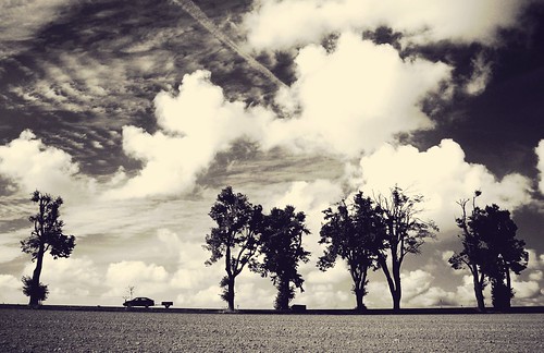 trees sky blackandwhite bw cloud monochrome car landscape outdoor dramatic cart melancholy horizontalline