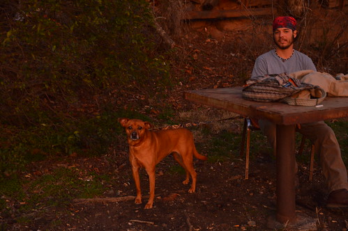 westasheville asheville nc northcarolina sunset dog thewedge