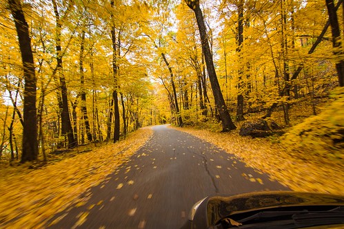 road trip autumn trees motion nature wisconsin landscape gold october driving action wideangle tokina fallfoliage f28 devilslake 1116mm wisconsinfall2015