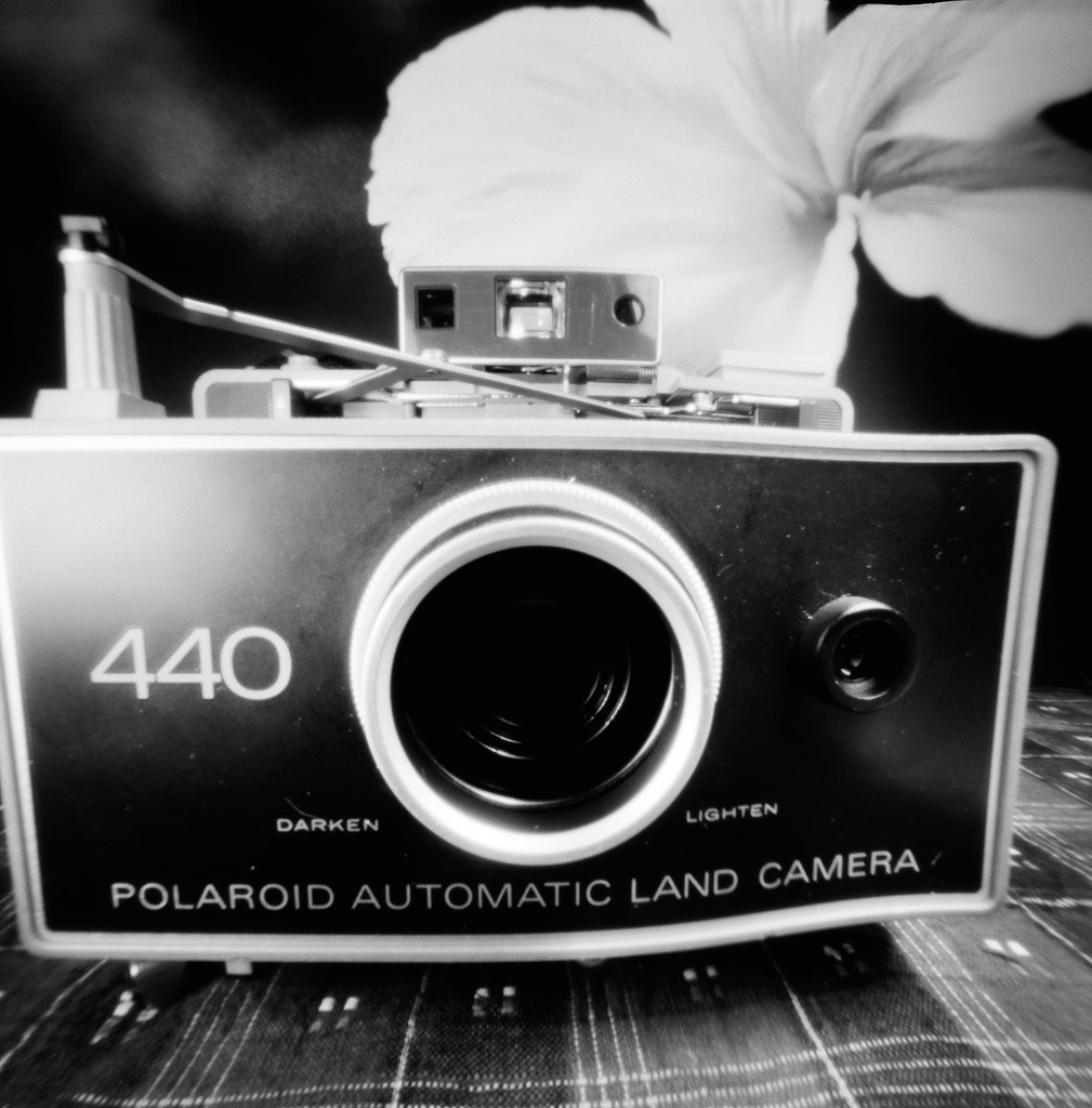Polaroid 440
