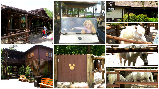 Día 7: Disney's Wilderness Lodge y Fort Wilderness Resort & Campground - (Guía) 3 SEMANAS MÁGICAS EN ORLANDO:WALT DISNEY WORLD/UNIVERSAL STUDIOS FLORIDA (16)