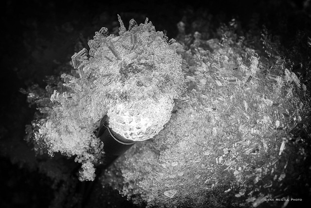 Ice crystals on an LED Christmas light