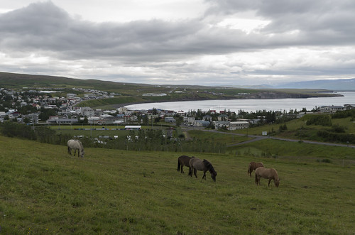 iceland norðurþing panoramio
