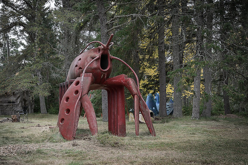 park new sculpture tree abandoned statue forest concrete sussex closed outdoor decay brunswick newbrunswick lobster nbphoto penobsquis animaland nikond3300 d3300