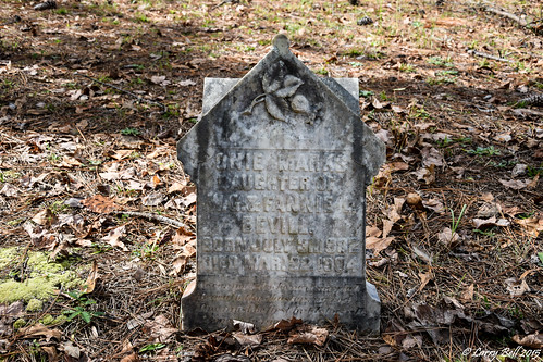 cemetery us unitedstates alabama ward edna larrybell bethlehemcemetery choctawcounty larebel larebell
