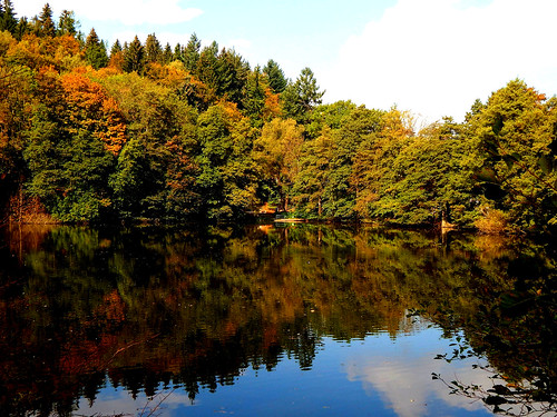 autumn lake nature forest landscape see thüringen nikon herbst natur thuringia landschaft wald ilmenau thüringerwald thuringianforest caledoniafan nikoncoolpixl820