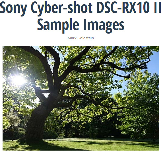 ソニー サイバーショット RX10 II で撮影したサンプル画像