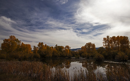 autumn sky cloud fall water leaves pond montana